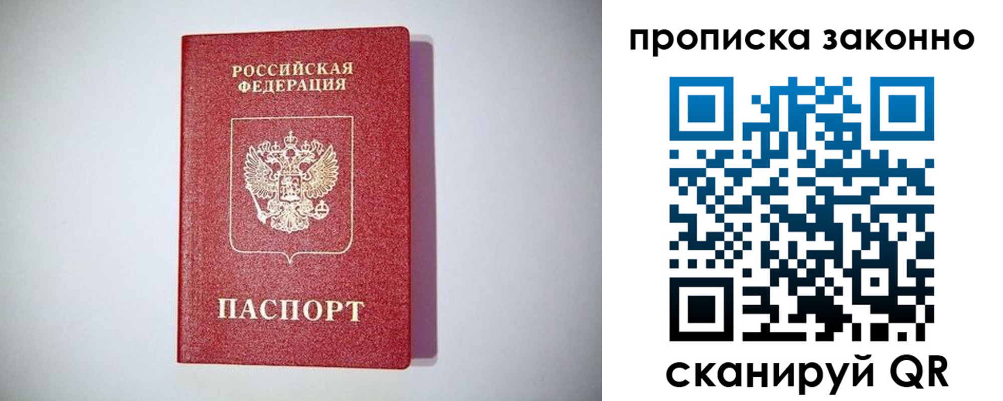 прописка законно в Курске